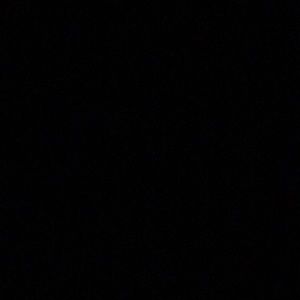 Meet your Posher, Pussy